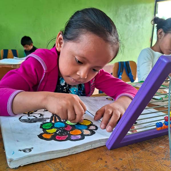 GirlStudying Girl Studying at Desk